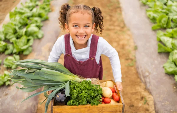 Çocuk Portre Bir Kutu Çiftlik Sebzesi Hasat Çiftçilik Bahçıvanlık Için — Stok fotoğraf