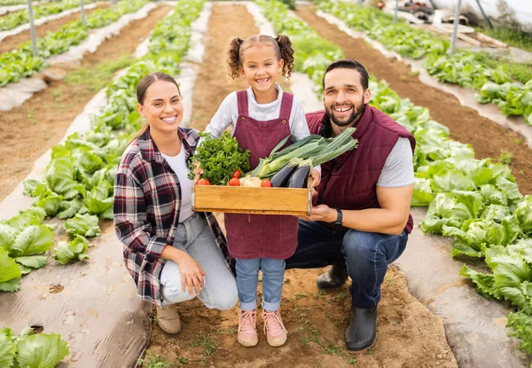 农业和盒子蔬菜在农场 收获和新鲜的产品形象 高兴与可持续耕作 室外男子 妇女和女童 拥有健康有机食品和营养的农民 — 图库照片