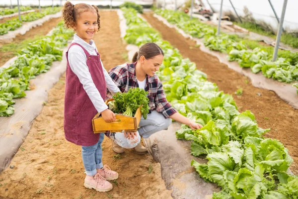 家庭和带着女孩和母亲的孩子一起在温室里干活 有机农业中一名妇女和一名女儿工作的粮食 健康和可持续性 — 图库照片