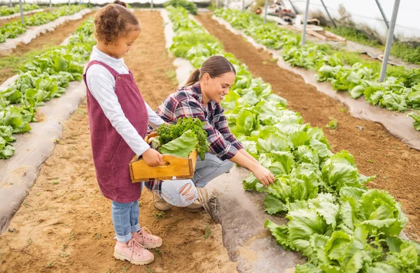 Mother, family and help with farming greenhouse vegetables for sustainability, business and lifestyle. Agriculture, helping and mom with young child holding wood tray in eco friendly farm