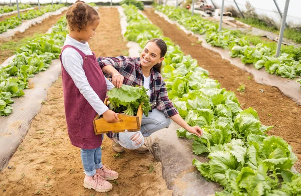 Сім Щасливе Сільське Господарство Овочевій Теплиці Дітей Які Вивчають Екологічну — стокове фото