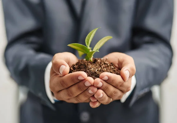 The future of business is in safe hands. Closeup shot of a businessman in a suit holding a sprouting plant in soil in his cupped hands