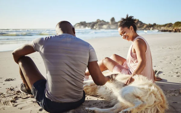 フィットネスカップルは 夏のワークアウトの後にビーチ 海で犬とリラックスし 一緒に太陽の下で自由な時間と楽しみ 幸せな男 女と人 ラブラドール動物ペットと穏やかな海での自由屋外 — ストック写真
