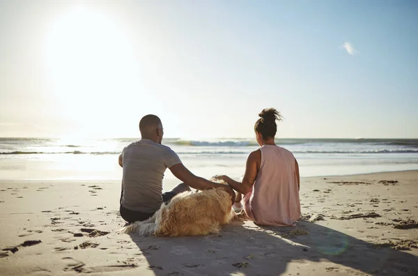 Relájese Perro Feliz Con Pareja Playa Para Paz Vacaciones Verano —  Fotos de Stock