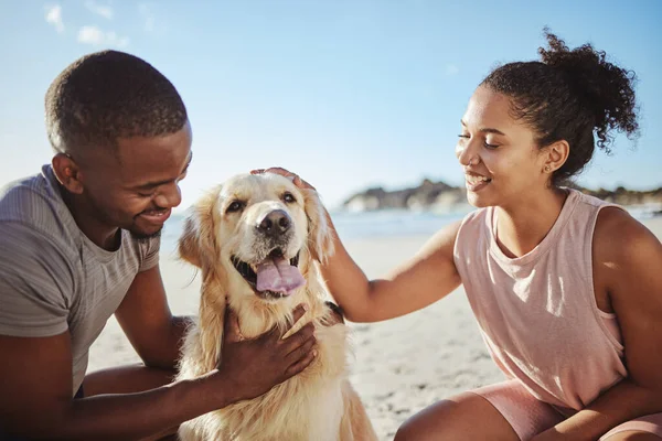 Χαλαρώστε Ζευγάρι Και Σκύλος Μια Παραλία Χαρούμενος Και Χαμογελαστός Ενώ — Φωτογραφία Αρχείου