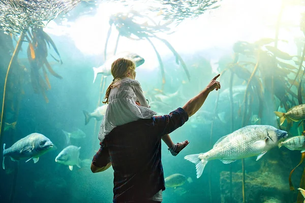 Discovering all about the creatures of the deep sea. a father and his little daughter looking at an exhibit in an aquarium