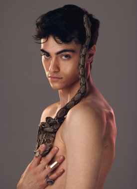 Portrait, man and model with snake in studio isolated on a gray background. Beauty, art and fashion of young male model posing with python, reptile or serpent for skincare, body care and cosmetics clipart