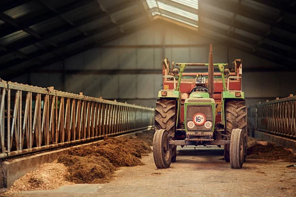 Den Virkelige Arbeidshesten Denne Gården Gammel Rusten Traktor Som Står – stockfoto