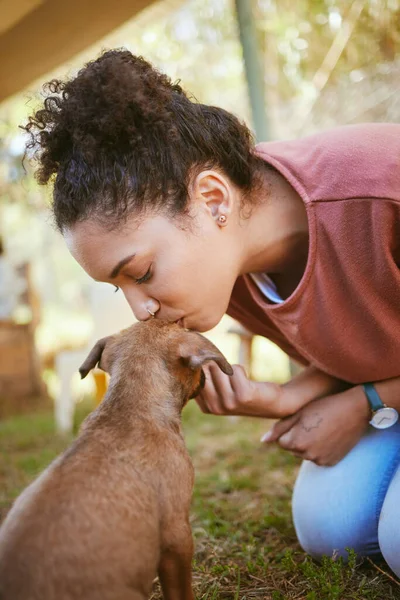 狗和收养与一个黑人妇女在救援中心寻找一个寄养动物爱或照顾 与从收容所收养小狗回家的年轻女子亲吻 爱抚和爱抚 — 图库照片