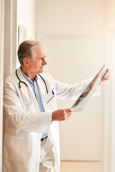 stock image Determined to find the root of the problem. a mature doctor holding up an x-ray to examine it