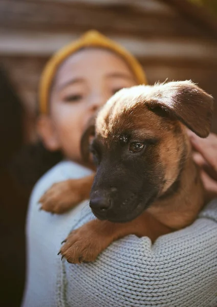 養子縁組 愛と自然の中でペットと世話のための避難所で犬 遊びや子供 ドイツの羊飼い 幸せな女の子は公園で若い子犬を保持します — ストック写真