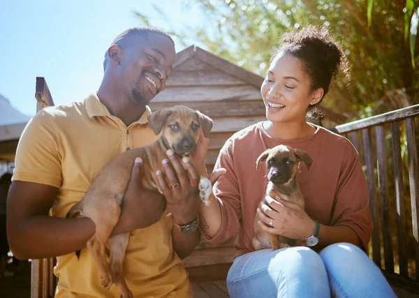 動物の避難所 福祉用の犬小屋で養子縁組のための子犬を保持黒のカップルとの救助 慈善団体から犬を採用する男性と女性とのヘルプ 犬とボランティア — ストック写真