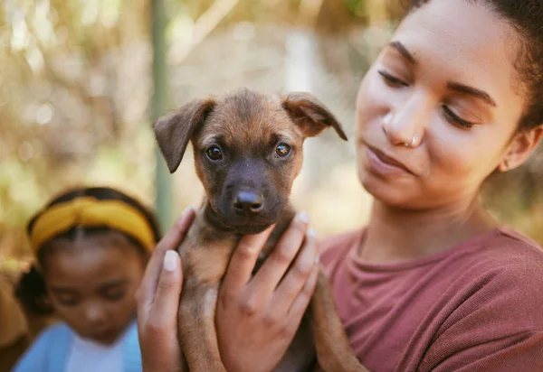 女性と手の養子縁組 生活や動物の避難所での結合のための愛の子犬を保持 ペットケアや家庭のためのサポート 信頼と愛情のために手に小さな小さなポップアップを運ぶ幸せな女性 — ストック写真