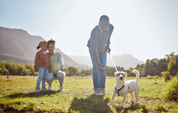 Köpek Yürüyüş Aile Doğa Parkı Ortamında Birlikte Rahatlar Siyah Aile — Stok fotoğraf