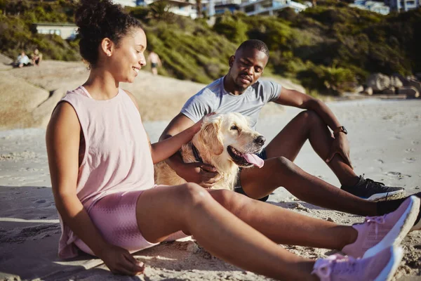 Relax, fitness and dog with black couple at beach after training for workout, health or exercise. Nature, peace and wellness with man and woman enjoy sunset with pet in sand for energy, happy or time.