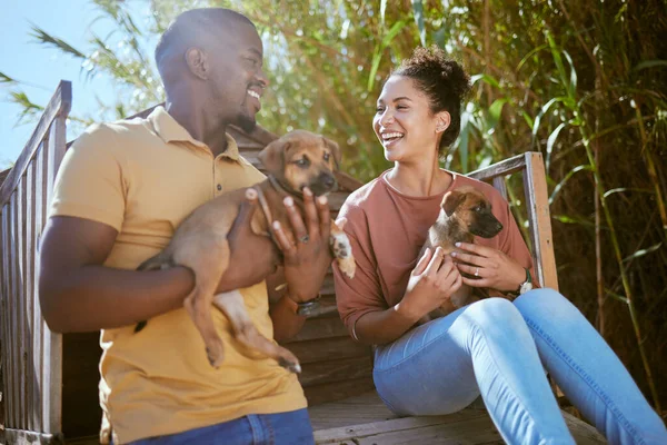 Couple, love and bonding with puppy dogs in animal shelter, adoption center of volunteer community charity for canines. Smile, happy or black woman and man with animal pets for foster care in garden.