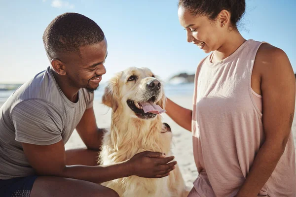 Αγάπη Σκύλος Και Ζευγάρι Είναι Ευτυχείς Χαμόγελο Συγκόλληση Στην Παραλία — Φωτογραφία Αρχείου