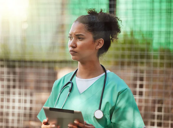 Veterinary, nurse of healthcare woman outdoor with tablet and stethoscope for inspection or to check medical records. Vet, veterinarian or doctor in uniform using technology for research or schedule.