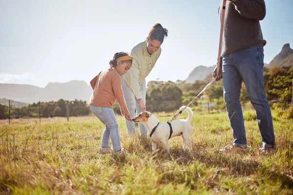 Cão Parque Pet Family Com Criança Mãe Pai Natureza Campo — Fotografia de Stock