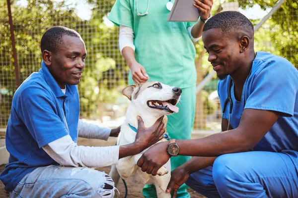 Veterinär Grupp Och Läkare Med Hund Som Arbetar Inom Vård — Stockfoto