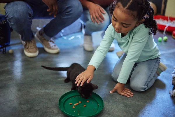 Παιδί Κορίτσι Γατάκι Σίτισης Καταφύγιο Ζώων Συντροφιάς Διάσωση Υιοθεσίας Εθελοντική — Φωτογραφία Αρχείου