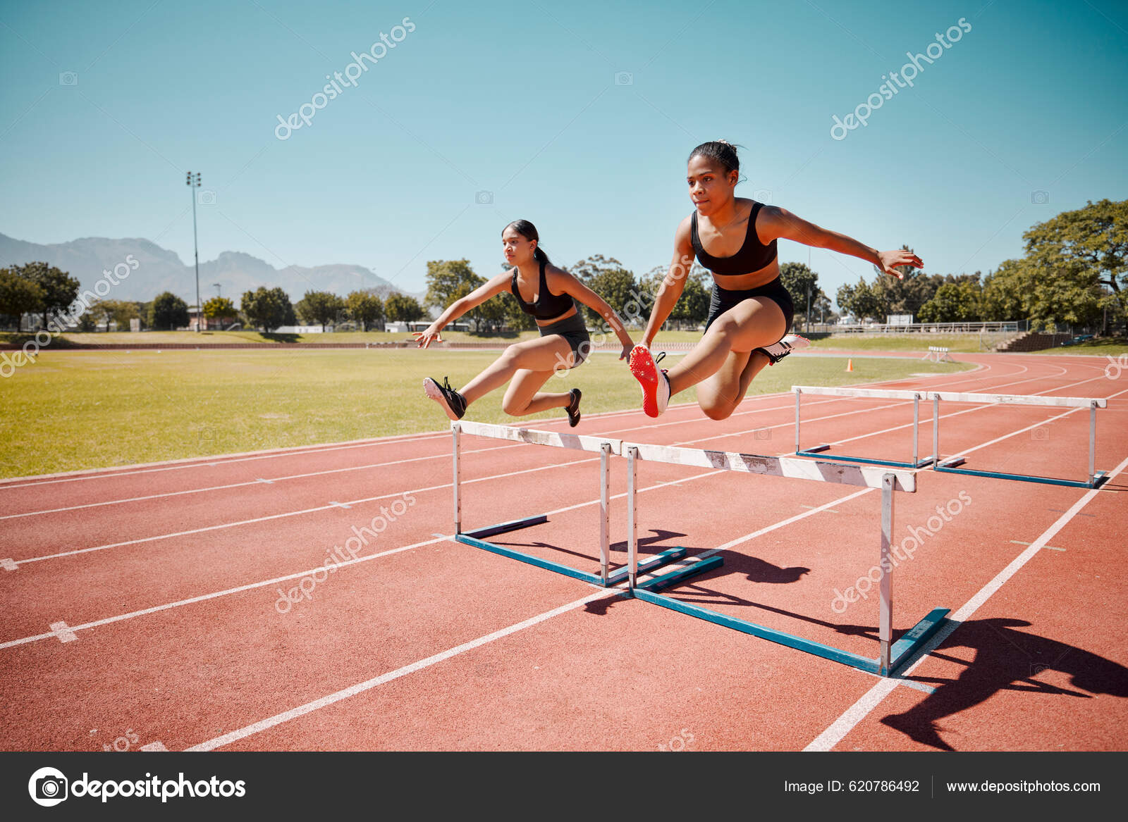 Entrenamiento Con Obstáculos/entrenamiento Con Saltos/vallas