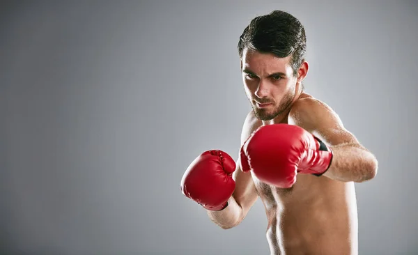 Levanta Luta Estúdio Retrato Jovem Boxe Contra Fundo Cinza — Fotografia de Stock