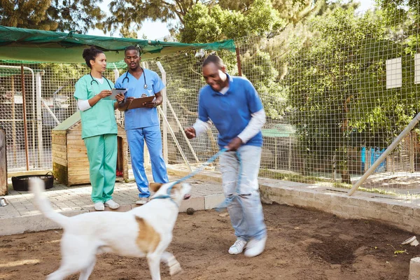 Dog, veterinary and healthcare doctor or team with tablet, writing notes for animals medical check, support and puppy care. Nonprofit volunteer people helping with pet care at dogs homeless community.
