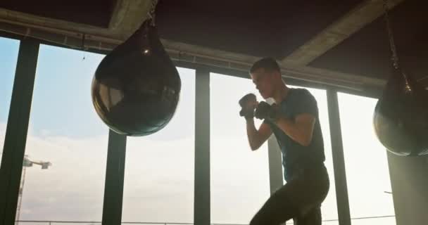 Людина Боксерська Сумка Спортивне Тренування Тренування Вправа Управління Гнівом Контроль — стокове відео