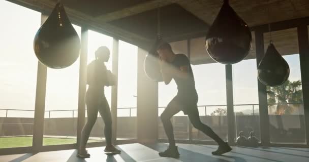 スポーツ ボクシング ジムでのパーソナルトレーナーと女性は 午前中に運動 ワークアウトや練習を行う フィットネス 健康のためのキックボクシングレッスンでコーチと女性アスリートのトレーニング — ストック動画