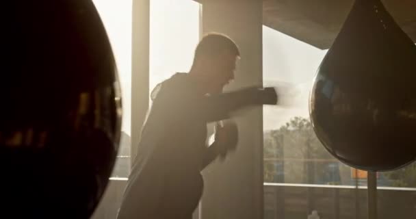 Άνθρωπος Μποξέρ Και Punching Τσάντα Πυγμαχίας Στο Ηλιοβασίλεμα Fitness Εκπαίδευση — Αρχείο Βίντεο