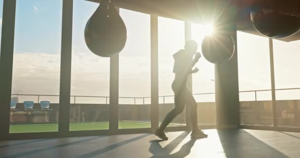 Fitness Kick Box Női Edzés Egy Boxzsák Erő Testmozgás Sport — Stock videók