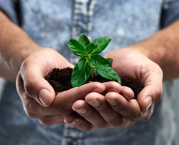 Crescimento Testemunho Vida Homem Segurando Uma Planta Que Cresce Fora — Fotografia de Stock