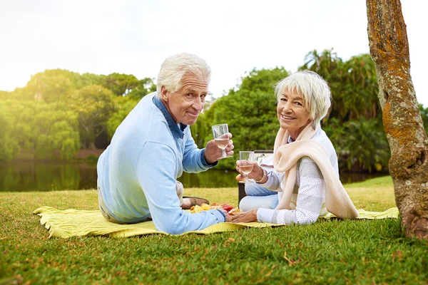 Piknik Adalah Favorit Mereka Potret Pasangan Senior Yang Sedang Menikmati — Stok Foto