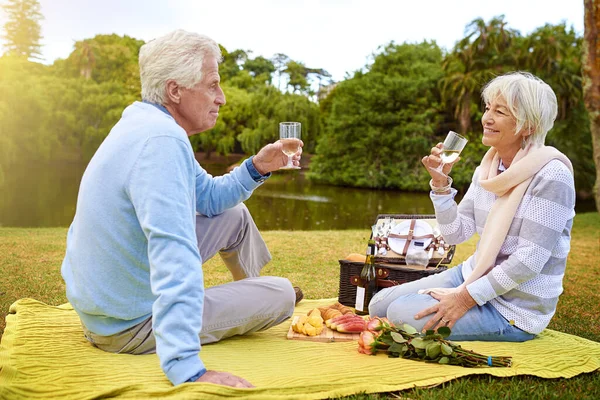 Picnic Dates Best Senior Couple Enjoying Picnic Park — Stock Photo, Image