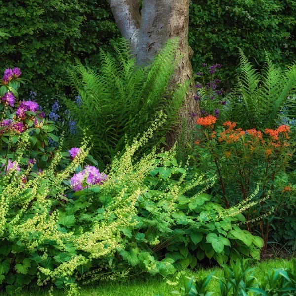 Beautiful Garden Month June Green Green Garden Paradise — Stock Photo, Image