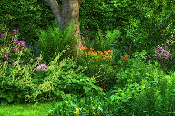 Beautiful Garden Month June Green Green Garden Paradise — Stockfoto