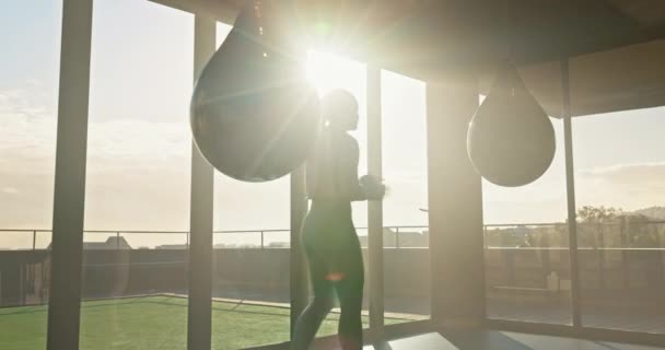 Fitness Ginásio Boxe Esportivo Treinamento Exercício Cardio Treino Com Objetivos — Vídeo de Stock