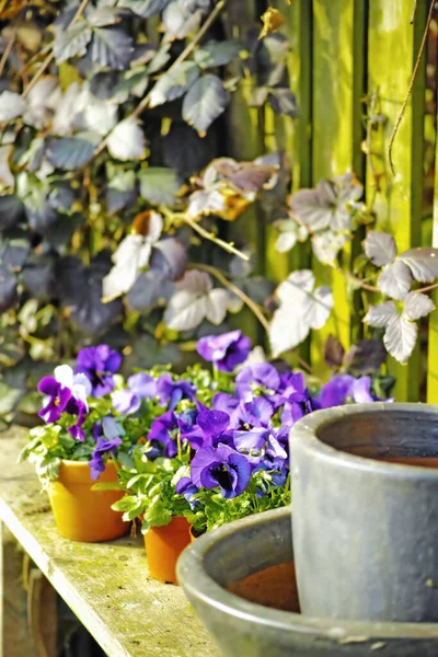 Gardeners Corner Private Spot Gardener Beauty Garderning — Stockfoto