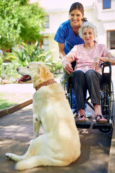 彼は彼女の最も信頼できる友人 老人ホームの庭の住人犬看護師 — ストック写真