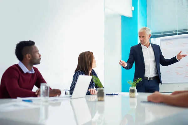 Leading His Design Team Right Direction Mature Businessman Giving Presentation — Stock Photo, Image