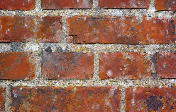 Keeping Things Keeping Things Out Facebrick Wall — Zdjęcie stockowe