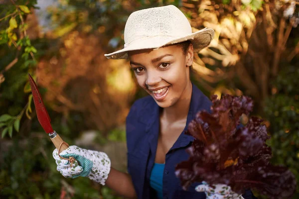 Kopfsalat Frisch Wie Möglich Eine Junge Frau Bei Der Gartenarbeit — Stockfoto