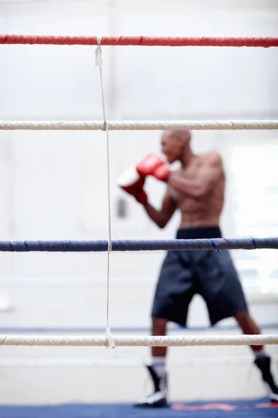 Athletic Man Practicing African American Male Boxer Practicing Boxing Gloves — Stock Photo, Image