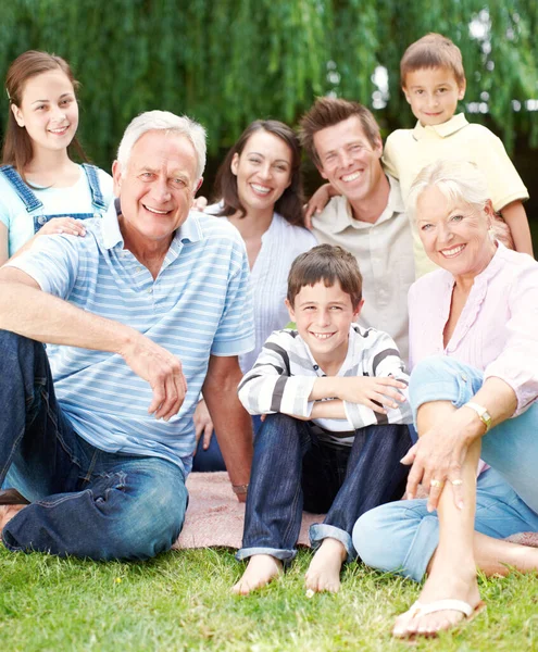 Perfect Family Picnic Three Generations Family Enjoying Day Out Park — Stock Photo, Image