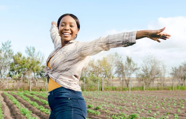 Landbouw Zwarte Vrouw Boer Milieu Met Boerenoogst Landbouw Voor Duurzaamheid — Stockfoto