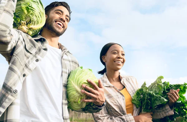 Agricoltura Agricoltura Coppia Con Verdure Verdi Momento Del Raccolto Eco — Foto Stock