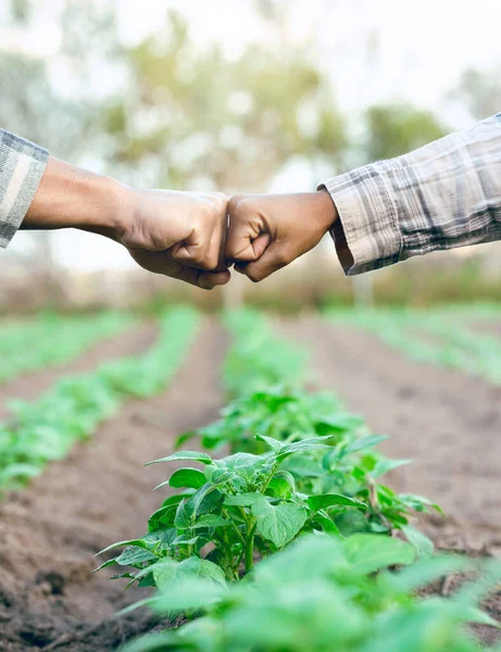 Fist Bump Support Employees Farming Partnership Growth Agriculture Sustainability Farm — Stock fotografie