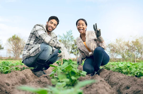 Farmer couple, portrait and peace sign, agriculture work and plants in soil, harvest and sustainability garden. Man and black woman smile, happy and working on countryside farming and eco friendly.