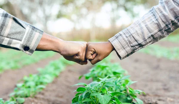 Landbouw Landbouw Vuist Hobbel Voor B2B Zakelijke Deal Partnerschap Overeenkomst — Stockfoto